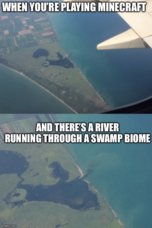 WHEN YOU’RE PLAYING MINECRAFT; AND THERE’S A RIVER RUNNING THROUGH A SWAMP BIOME | image tagged in minecraft | made w/ Imgflip meme maker