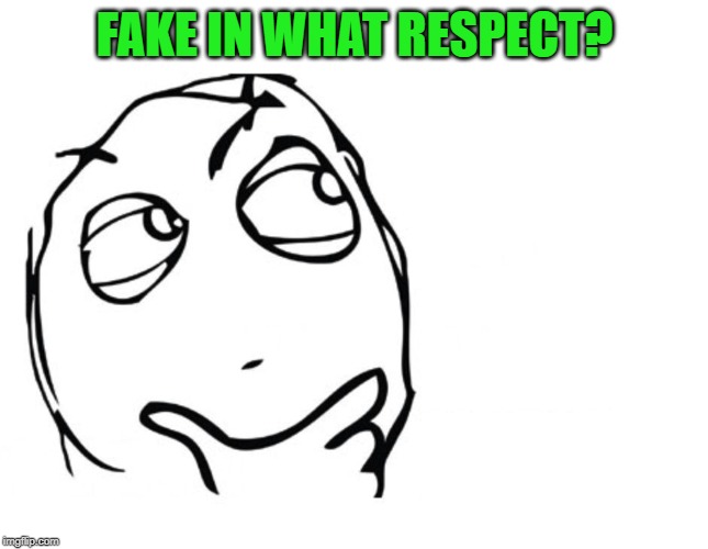 hmmm | FAKE IN WHAT RESPECT? | image tagged in hmmm | made w/ Imgflip meme maker