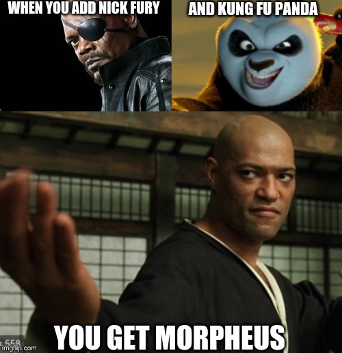 I honestly don't know | WHEN YOU ADD NICK FURY; AND KUNG FU PANDA; YOU GET MORPHEUS | image tagged in kung fu panda,nick fury,matrix morpheus | made w/ Imgflip meme maker
