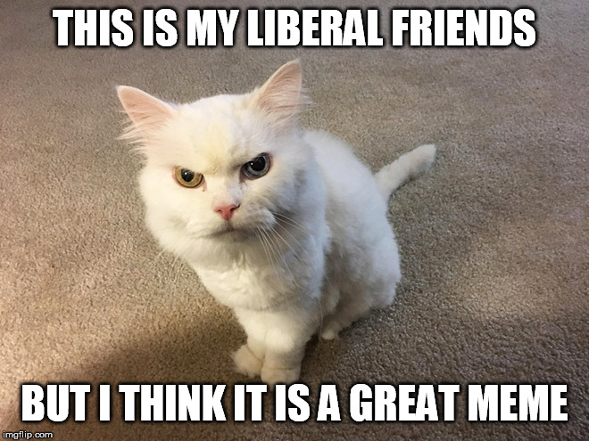 hate cat | THIS IS MY LIBERAL FRIENDS BUT I THINK IT IS A GREAT MEME | image tagged in hate cat | made w/ Imgflip meme maker