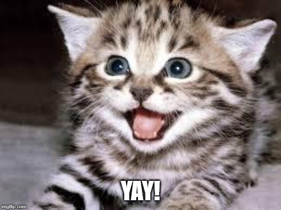 happy cat | YAY! | image tagged in happy cat | made w/ Imgflip meme maker