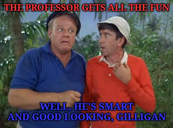 Gilligan and skipper | THE PROFESSOR GETS ALL THE FUN WELL, HE'S SMART AND GOOD LOOKING, GILLIGAN | image tagged in gilligan and skipper | made w/ Imgflip meme maker