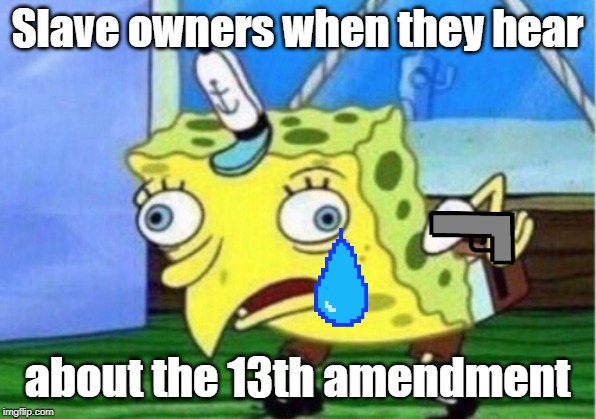 Mocking Spongebob Meme | Slave owners when they hear; about the 13th amendment | image tagged in memes,mocking spongebob | made w/ Imgflip meme maker