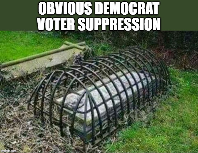 How to stop Democrats from voting. | OBVIOUS DEMOCRAT VOTER SUPPRESSION | image tagged in caged grave | made w/ Imgflip meme maker