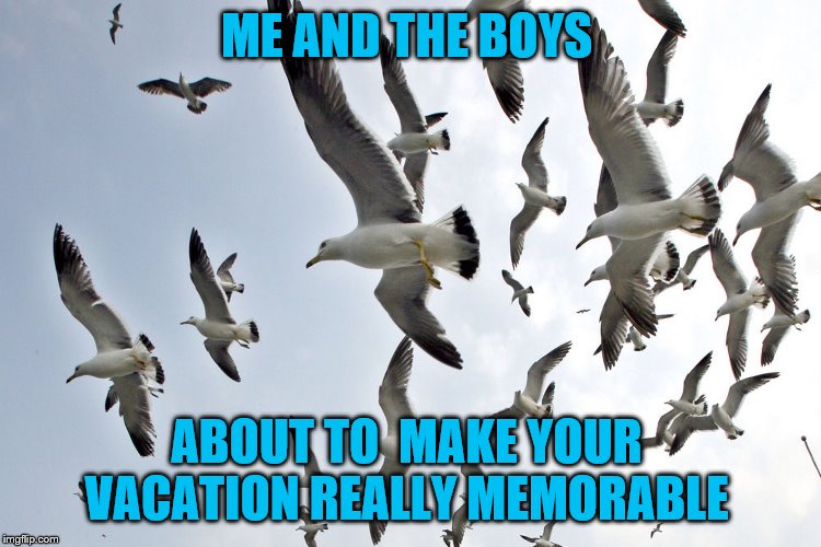 Bombs away | ME AND THE BOYS; ABOUT TO  MAKE YOUR  VACATION REALLY MEMORABLE | image tagged in me and the boys week | made w/ Imgflip meme maker