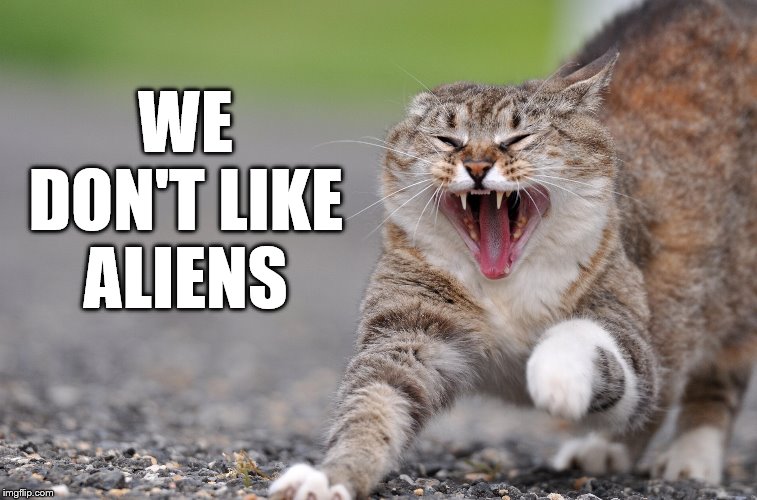 pissed cat | WE DON'T LIKE ALIENS | image tagged in pissed cat | made w/ Imgflip meme maker