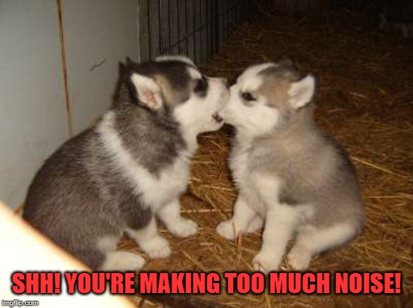 Cute Puppies Meme | SHH! YOU'RE MAKING TOO MUCH NOISE! | image tagged in memes,cute puppies | made w/ Imgflip meme maker