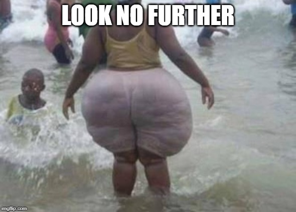 Big butt | LOOK NO FURTHER | image tagged in big butt | made w/ Imgflip meme maker