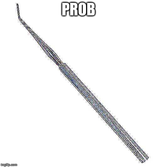The mighty Prob | PROB | image tagged in probe,sbeve,epic,holy shit | made w/ Imgflip meme maker