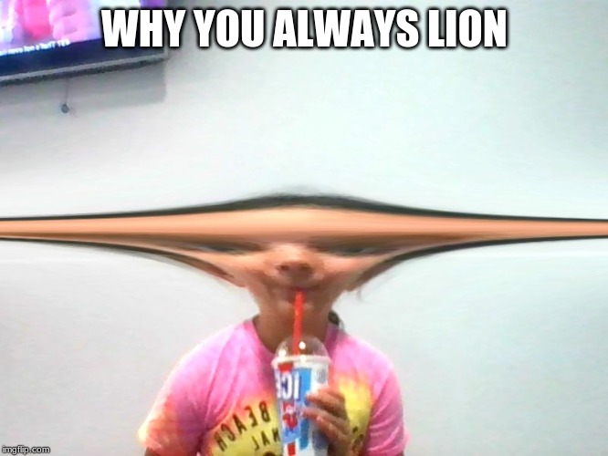 Why | WHY YOU ALWAYS LION | image tagged in why you always lying | made w/ Imgflip meme maker