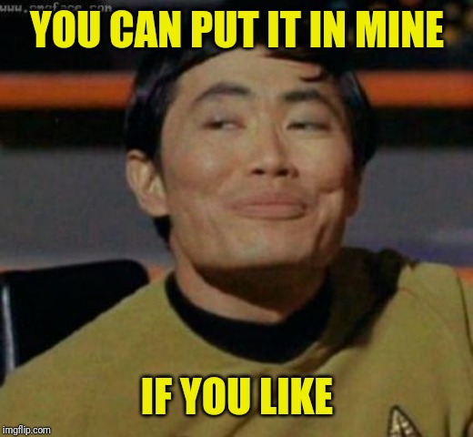 sulu | YOU CAN PUT IT IN MINE IF YOU LIKE | image tagged in sulu | made w/ Imgflip meme maker