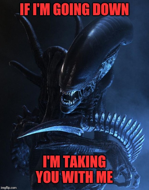 Alien Xenomorph | IF I'M GOING DOWN I'M TAKING YOU WITH ME | image tagged in alien xenomorph | made w/ Imgflip meme maker