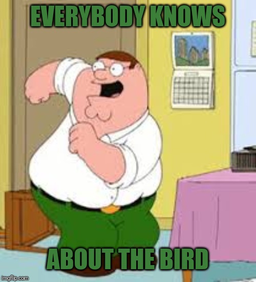 EVERYBODY KNOWS ABOUT THE BIRD | made w/ Imgflip meme maker
