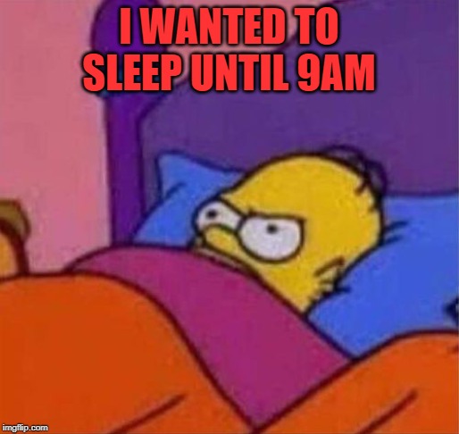 angry homer simpson in bed | I WANTED TO SLEEP UNTIL 9AM | image tagged in angry homer simpson in bed | made w/ Imgflip meme maker