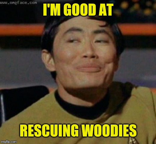 sulu | I'M GOOD AT RESCUING WOODIES | image tagged in sulu | made w/ Imgflip meme maker