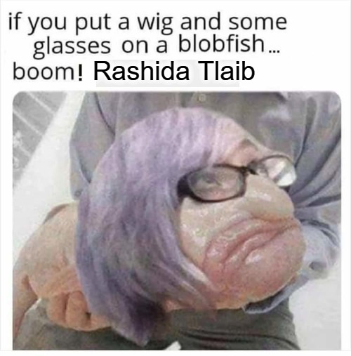 Lipstick on a PIG Revisited | Rashida Tlaib | image tagged in rashida tlaib,lipstick,lipstick on a pig,triggered feminist,triggered liberal,triggered feminazi | made w/ Imgflip meme maker