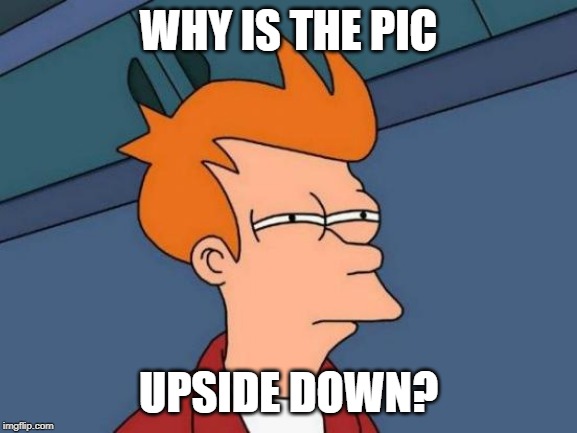 Futurama Fry Meme | WHY IS THE PIC UPSIDE DOWN? | image tagged in memes,futurama fry | made w/ Imgflip meme maker