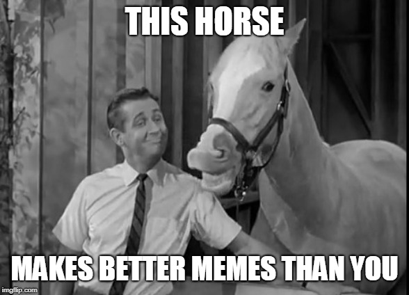 Mr Ed Speaks | THIS HORSE MAKES BETTER MEMES THAN YOU | image tagged in mr ed speaks | made w/ Imgflip meme maker