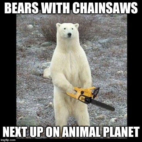 Chainsaw Bear | BEARS WITH CHAINSAWS; NEXT UP ON ANIMAL PLANET | image tagged in memes,chainsaw bear | made w/ Imgflip meme maker