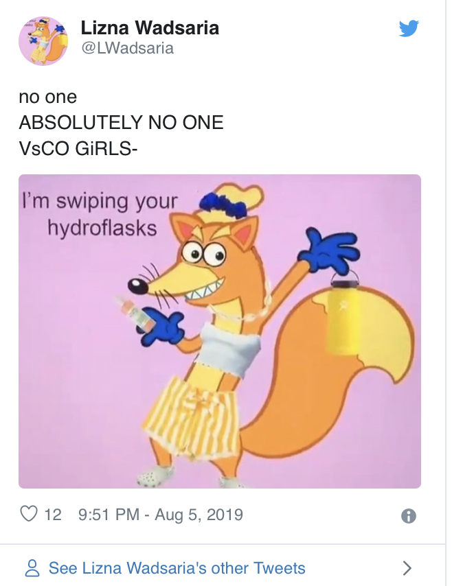 the Vsco girls are rising Blank Meme Template