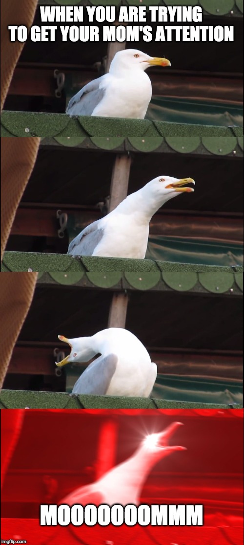 Inhaling Seagull Meme | WHEN YOU ARE TRYING TO GET YOUR MOM'S ATTENTION; MOOOOOOOMMM | image tagged in memes,inhaling seagull | made w/ Imgflip meme maker