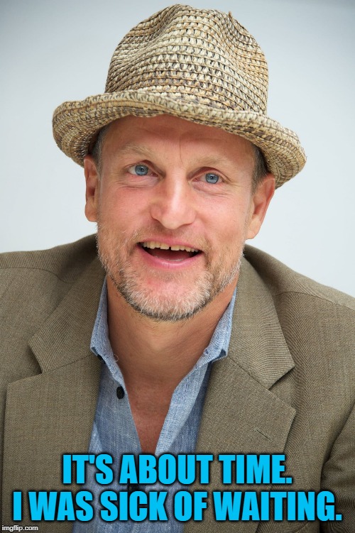 woody harrelson | IT'S ABOUT TIME. I WAS SICK OF WAITING. | image tagged in woody harrelson | made w/ Imgflip meme maker
