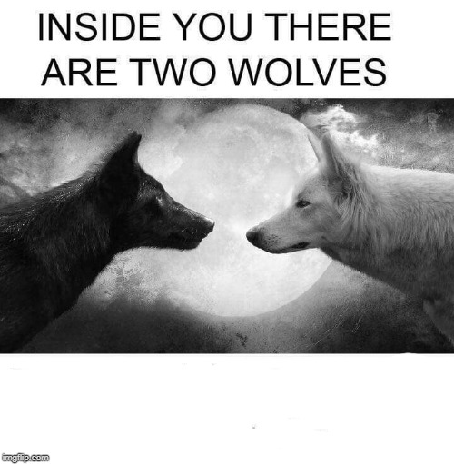 Inside you there are two wolves | image tagged in inside you there are two wolves | made w/ Imgflip meme maker