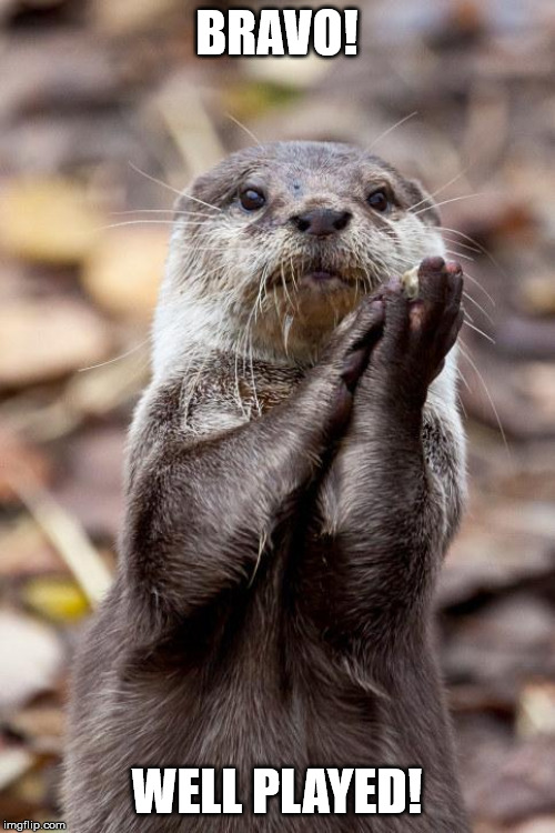 Slow-Clap Otter | BRAVO! WELL PLAYED! | image tagged in slow-clap otter | made w/ Imgflip meme maker