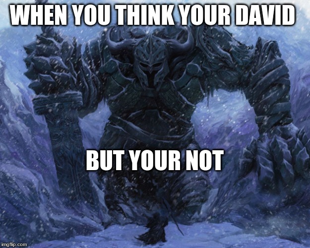 Big guy small guy meme | WHEN YOU THINK YOUR DAVID; BUT YOUR NOT | image tagged in big guy small guy meme | made w/ Imgflip meme maker