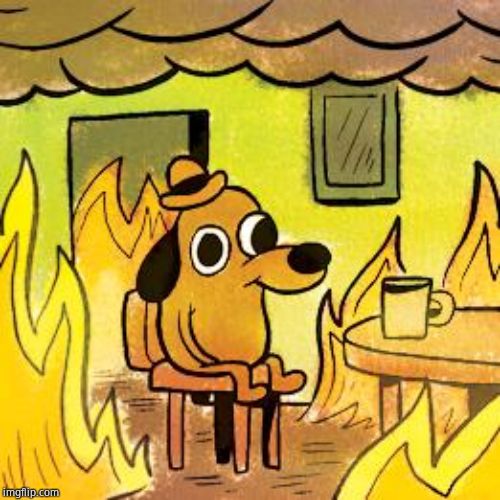 Dog in burning house | image tagged in dog in burning house | made w/ Imgflip meme maker