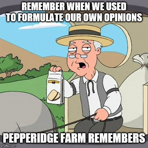Pepperidge Farm Remembers | REMEMBER WHEN WE USED TO FORMULATE OUR OWN OPINIONS; PEPPERIDGE FARM REMEMBERS | image tagged in memes,pepperidge farm remembers | made w/ Imgflip meme maker