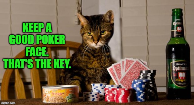 Poker Cat | KEEP A GOOD POKER FACE. THAT'S THE KEY. | image tagged in poker cat | made w/ Imgflip meme maker