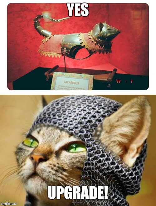 ARMOUR CAT | YES; UPGRADE! | image tagged in knight cat,cats,cat,memes,armor | made w/ Imgflip meme maker