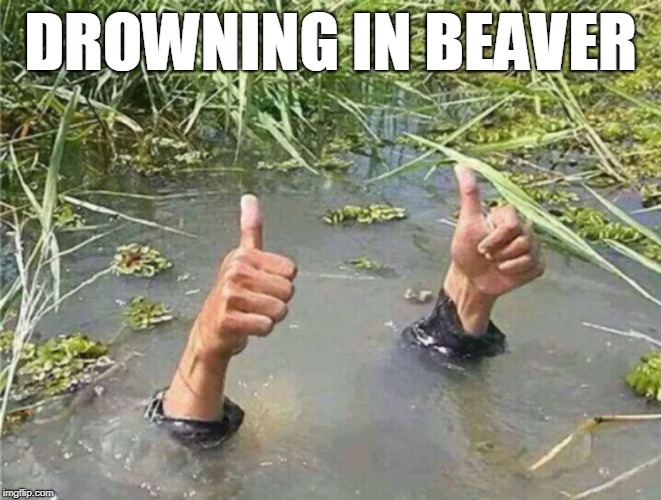 Drowning Thumbs Up | DROWNING IN BEAVER | image tagged in drowning thumbs up | made w/ Imgflip meme maker