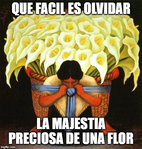 Diego Rivera Lillies | QUE FACIL ES OLVIDAR; LA MAJESTIA PRECIOSA DE UNA FLOR | image tagged in diego rivera lillies | made w/ Imgflip meme maker