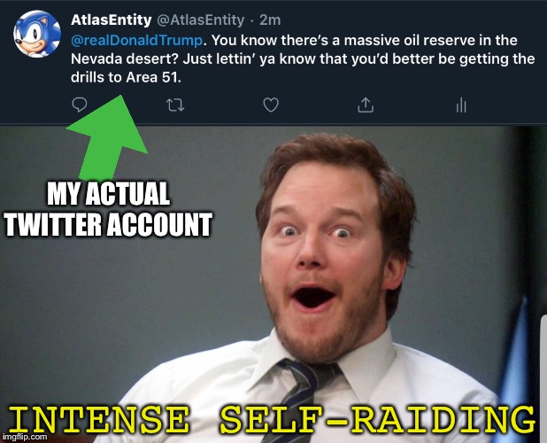  MY ACTUAL TWITTER ACCOUNT; INTENSE SELF-RAIDING | image tagged in wow face | made w/ Imgflip meme maker