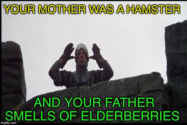French Taunting in Monty Python's Holy Grail | YOUR MOTHER WAS A HAMSTER AND YOUR FATHER SMELLS OF ELDERBERRIES | image tagged in french taunting in monty python's holy grail | made w/ Imgflip meme maker