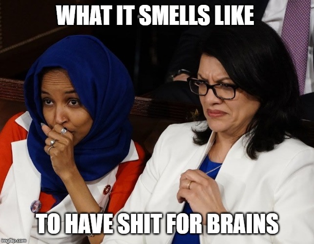 OMAR SHIT FOR BRAINS | WHAT IT SMELLS LIKE; TO HAVE SHIT FOR BRAINS | image tagged in omar,tlaib | made w/ Imgflip meme maker