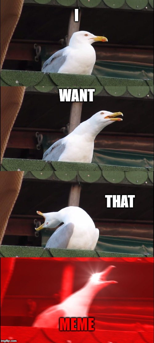 Inhaling Seagull Meme | I; WANT; THAT; MEME | image tagged in memes,inhaling seagull | made w/ Imgflip meme maker