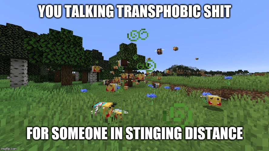Angry Trans Rights Minecraft Bee | YOU TALKING TRANSPHOBIC SHIT; FOR SOMEONE IN STINGING DISTANCE | image tagged in angry trans rights minecraft bee | made w/ Imgflip meme maker