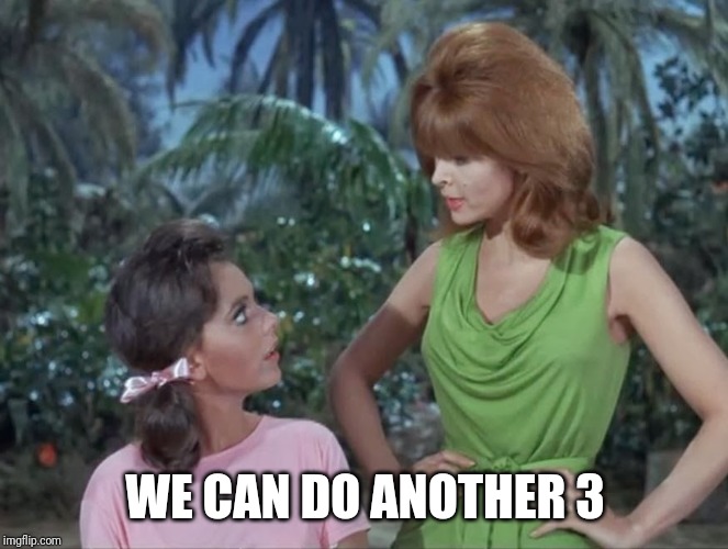 Mary Ann and Ginger | WE CAN DO ANOTHER 3 | image tagged in mary ann and ginger | made w/ Imgflip meme maker