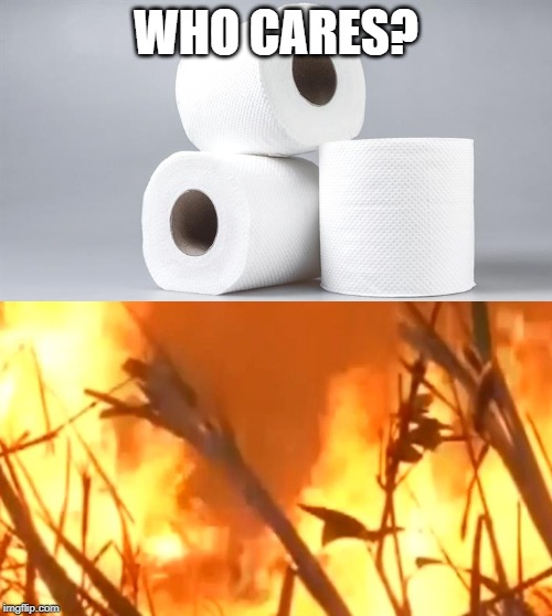 WHO CARES? | image tagged in amazon,burning | made w/ Imgflip meme maker