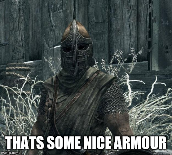 SkyrimGuard | THATS SOME NICE ARMOUR | image tagged in skyrimguard | made w/ Imgflip meme maker