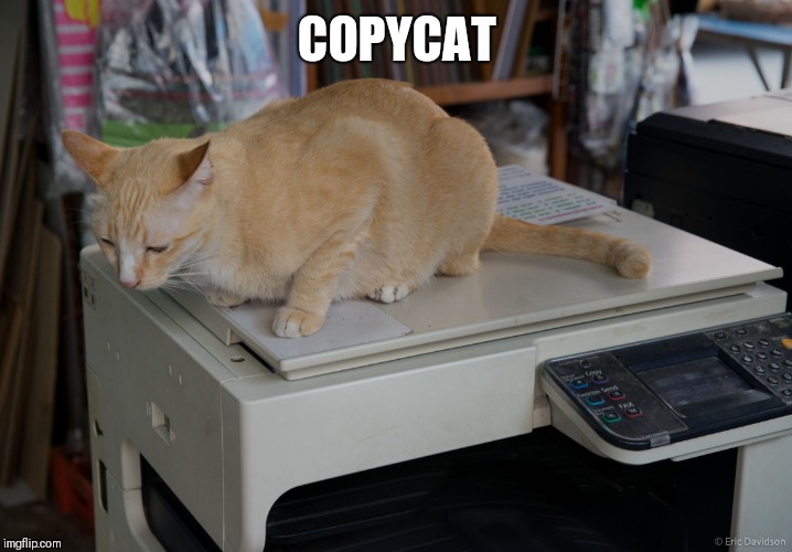 copycat | COPYCAT | image tagged in copycat | made w/ Imgflip meme maker