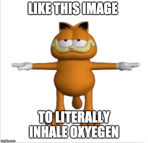 garfield t-pose | LIKE THIS IMAGE; TO LITERALLY INHALE OXYEGEN | image tagged in garfield t-pose | made w/ Imgflip meme maker