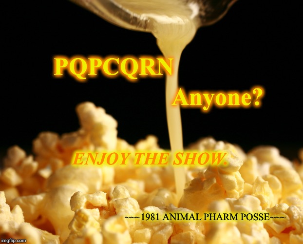 Hot buttered pqpcqrn | PQPCQRN; Anyone? ENJOY THE SHOW. ~~~1981 ANIMAL PHARM POSSE~~~ | image tagged in memes,popcorn,enjoy the show,movie night | made w/ Imgflip meme maker
