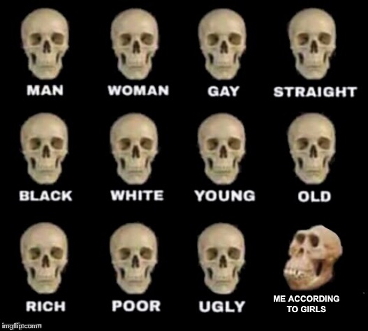 idiot skull | ME ACCORDING TO GIRLS | image tagged in idiot skull | made w/ Imgflip meme maker