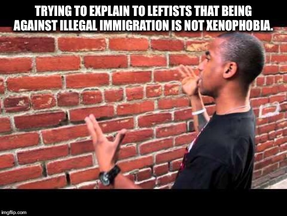 Brick wall guy | TRYING TO EXPLAIN TO LEFTISTS THAT BEING AGAINST ILLEGAL IMMIGRATION IS NOT XENOPHOBIA. | image tagged in brick wall guy,illegal immigration,democrats,liberal logic,libtards | made w/ Imgflip meme maker