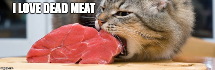 cat eating meat | I LOVE DEAD MEAT | image tagged in cat eating meat | made w/ Imgflip meme maker