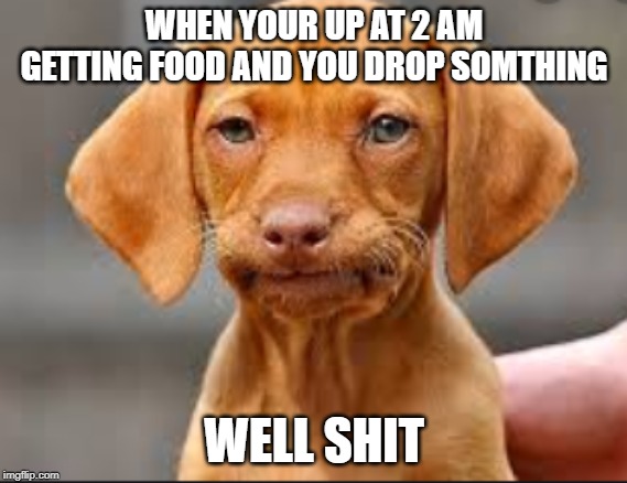 WHEN YOUR UP AT 2 AM GETTING FOOD AND YOU DROP SOMTHING; WELL SHIT | image tagged in bad pun dog,food,drop | made w/ Imgflip meme maker